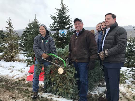 Buy Christmas trees locally, state says