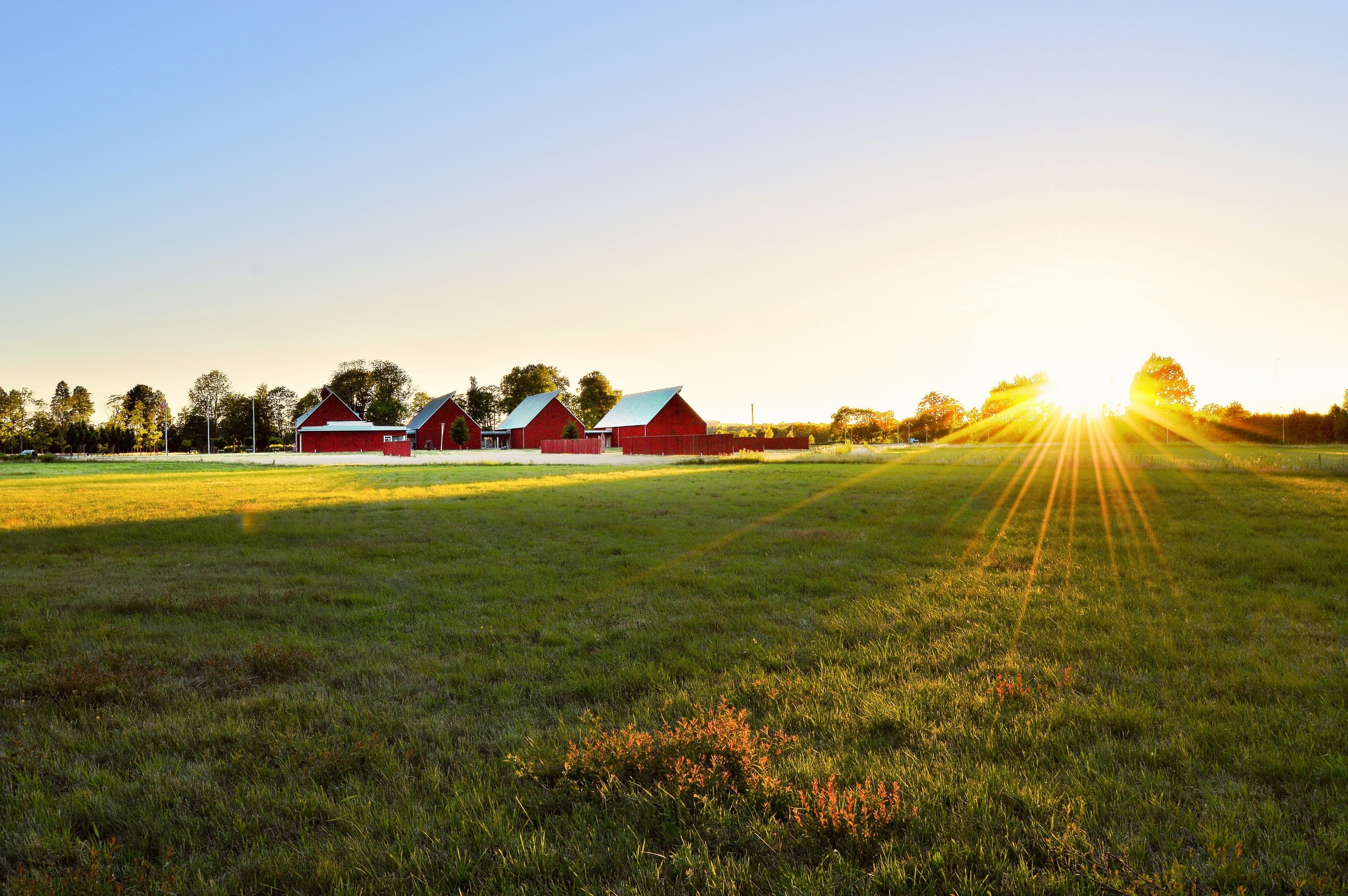 Farmworkers’ rights topic of  town hall on Sunday