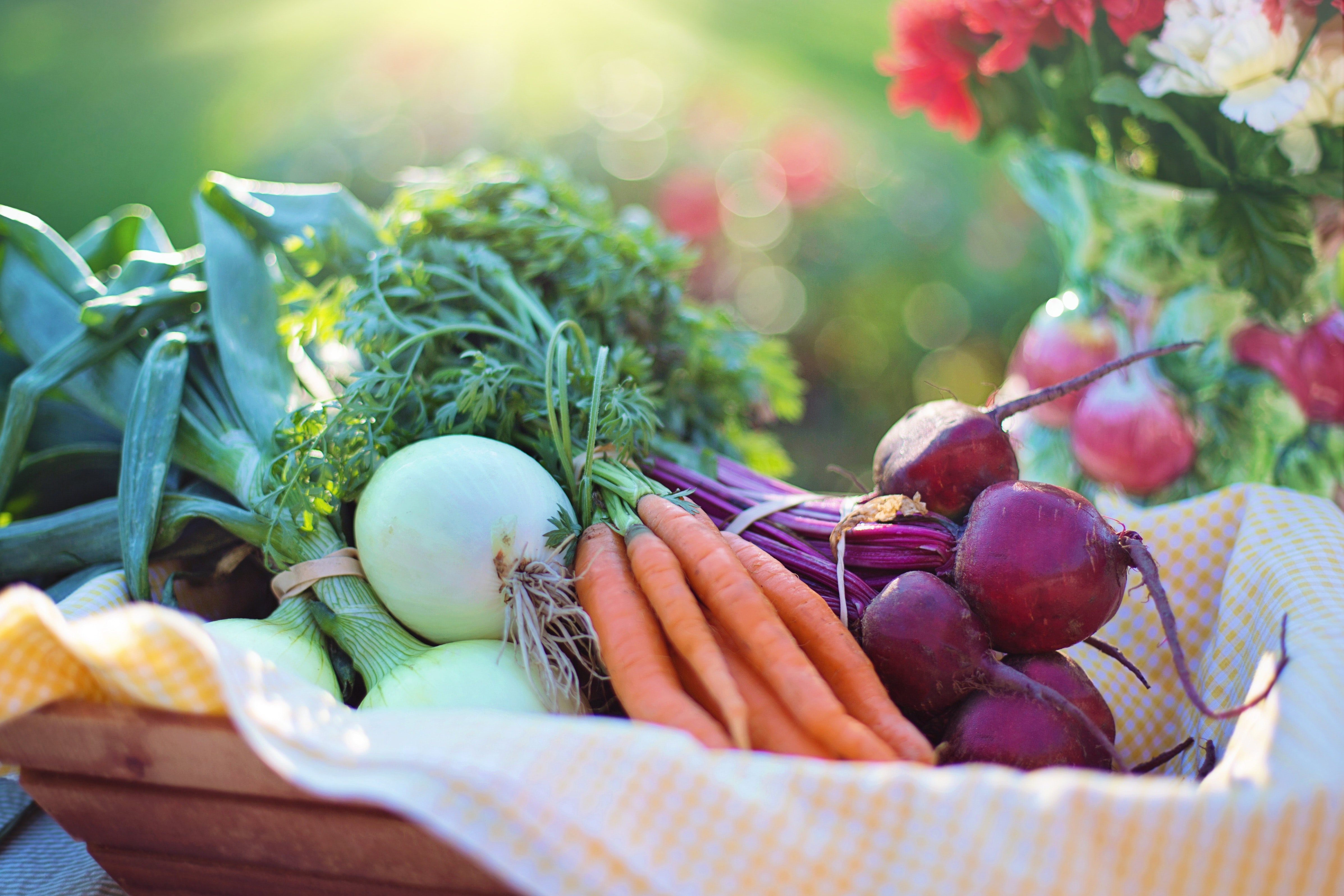 Online course helps mitigate food-borne illnesses at farm stands