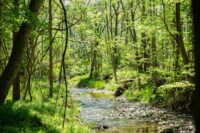 The Genesee Valley Conservancy has launched the Protect Little Italy Forever campaign to cover long-term protection, management and stewardship costs for the property. (Photo provided by the Conservancy)