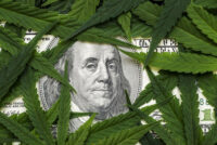 Benjamin Franklin face peering out from marijuana leaves on $100 bill (Depositphotos)