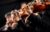 Monroe County is accepting applications from arts organizations for funding grants. (Photo by Depositphotos)